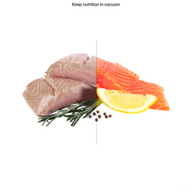 Home Vacuum Sealer Food Sealer
